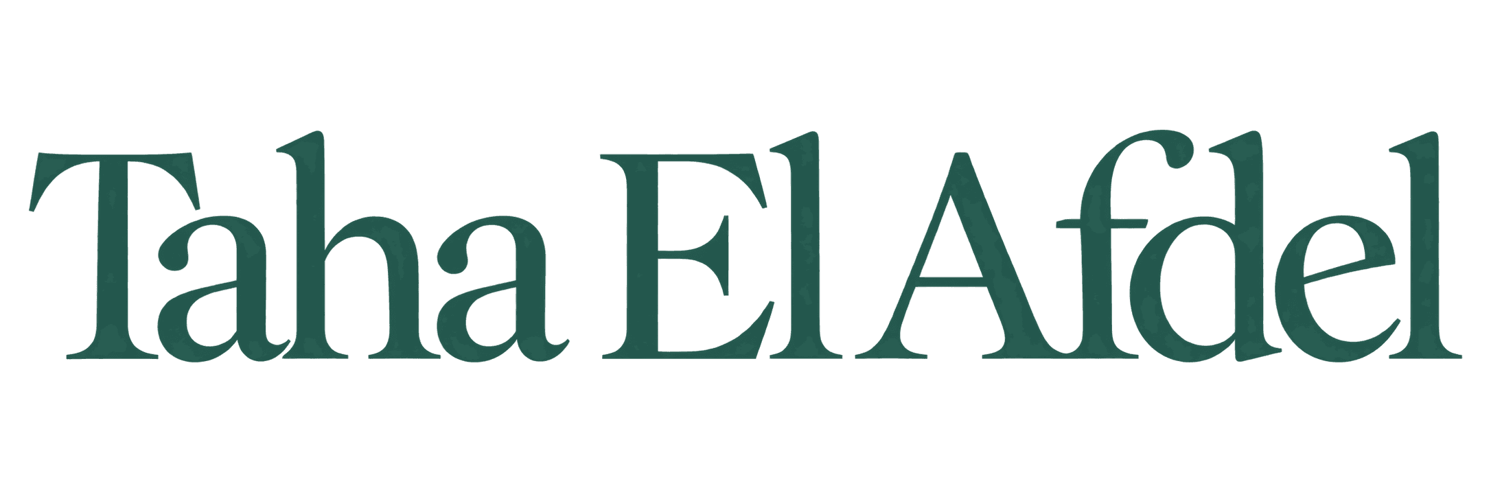 Taha El Afdel